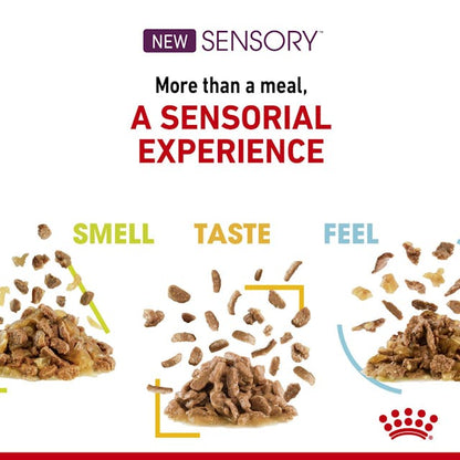 Royal Canin Sensory Smell Cat Wet Food Pouches in Gravy