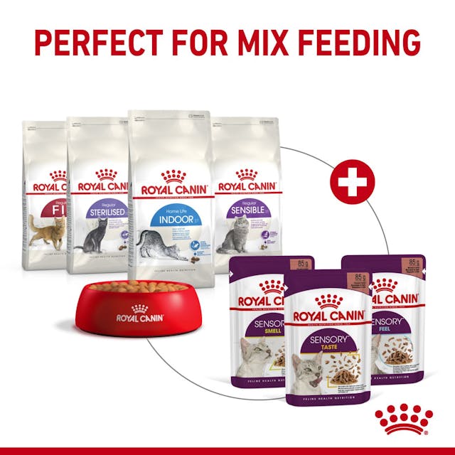 Royal Canin Sensory Smell Cat Wet Food Pouches in Gravy