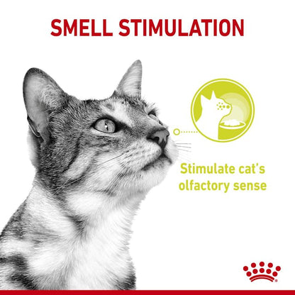 Royal Canin Sensory Smell Cat Wet Food Pouches in Jelly