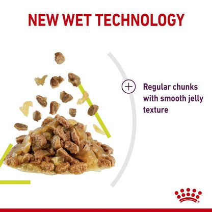 Royal Canin Sensory Smell Cat Wet Food Pouches in Jelly