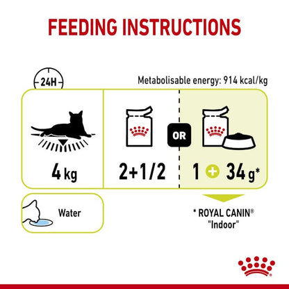 Royal Canin Sensory Smell Cat Wet Food Pouches in Jelly