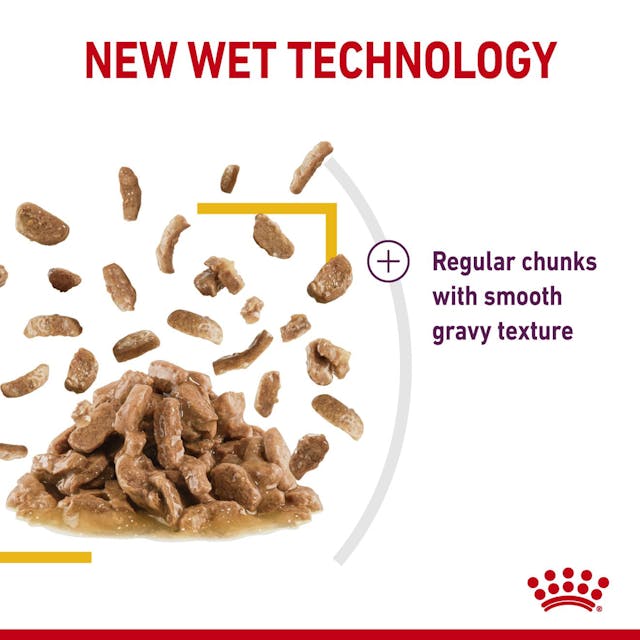 Royal Canin Sensory Taste Cat Wet Food Pouches in Gravy