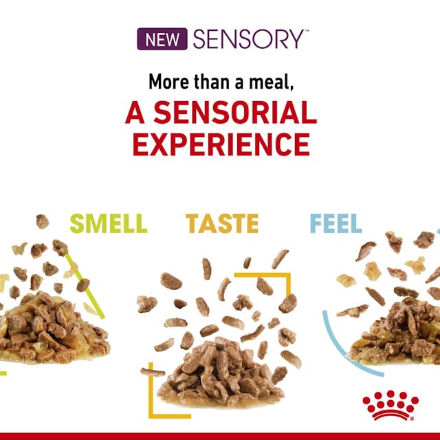 Royal Canin Sensory Taste Cat Wet Food Pouches in Gravy