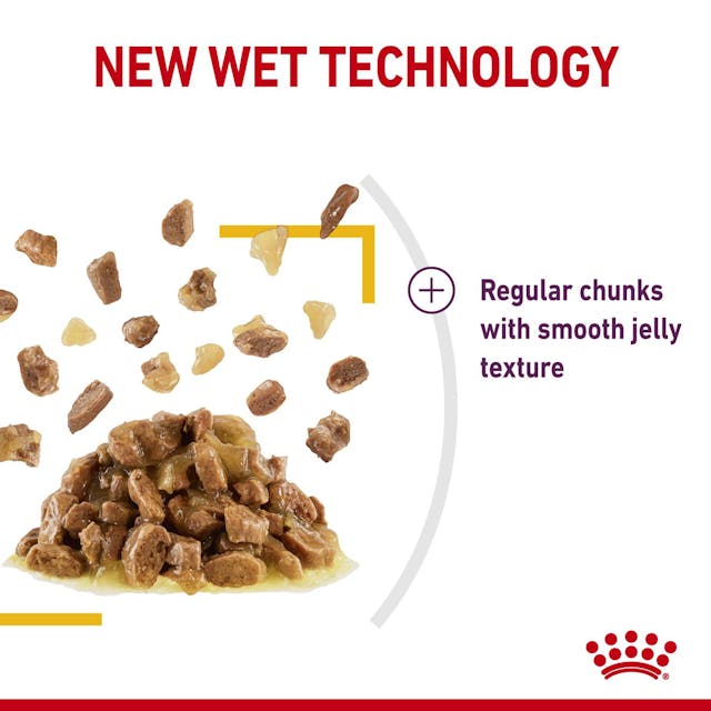 Royal Canin Sensory Taste Cat Wet Food Pouches in Jelly