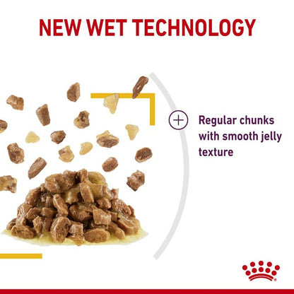 Royal Canin Sensory Taste Cat Wet Food Pouches in Jelly