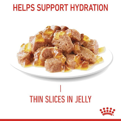 Royal Canin Light Weight Care Cat Wet Food Pouches in Jelly