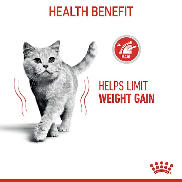 Royal Canin Light Weight Care Cat Wet Food Pouches in Jelly