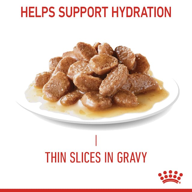 Royal Canin Urinary Care Cat Wet Food Pouches in Gravy