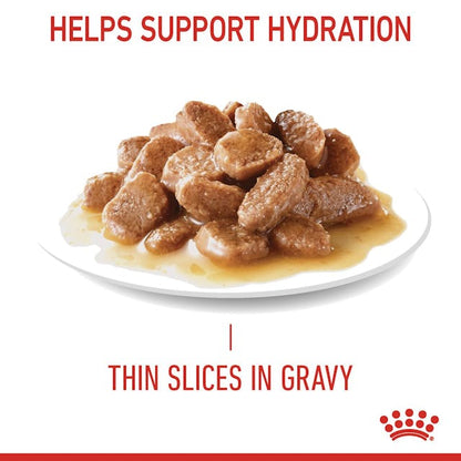 Royal Canin Urinary Care Cat Wet Food Pouches in Gravy