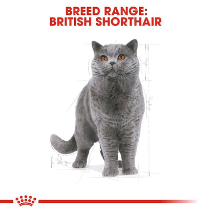 Royal Canin British Shorthair Dry Food