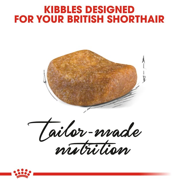 Royal Canin British Shorthair Dry Food