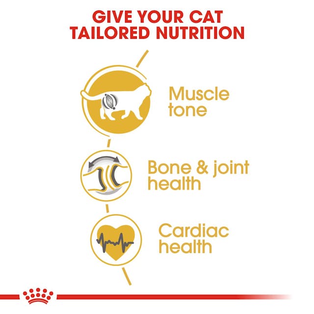 Royal Canin British Shorthair Dry Food