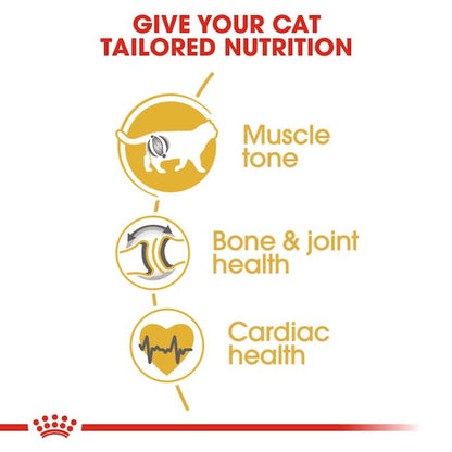 Royal Canin British Shorthair Dry Food