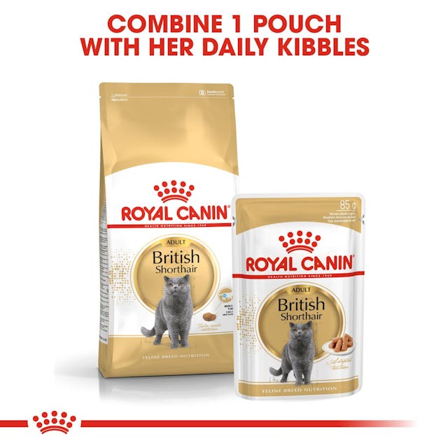 Royal Canin British Shorthair Dry Food