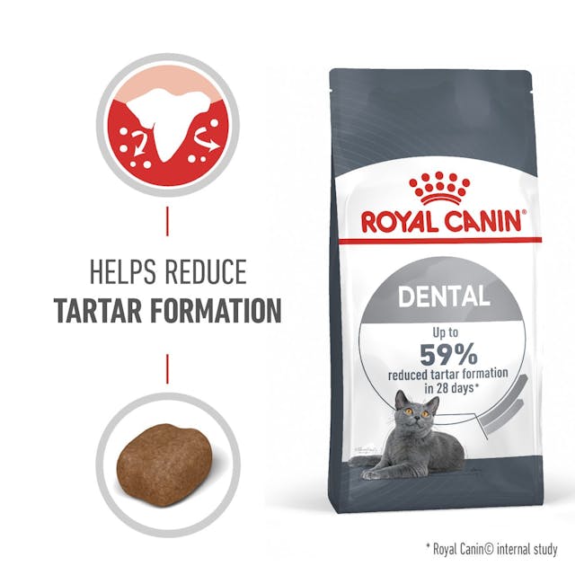 Royal Canin Dental Care Cat Dry Food Bag