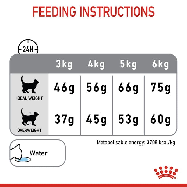 Royal Canin Dental Care Cat Dry Food Bag