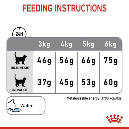 Royal Canin Dental Care Cat Dry Food Bag