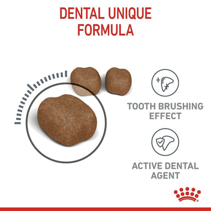 Royal Canin Dental Care Cat Dry Food Bag