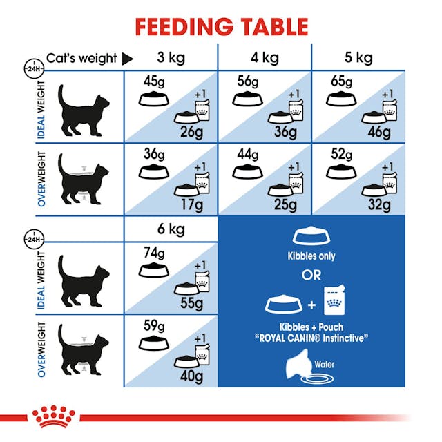Royal Canin Indoor Cat Dry Food Bag