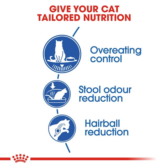 Royal Canin Indoor Cat Dry Food Bag