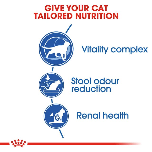Royal Canin Indoor 7+ Cat Dry Food Bag