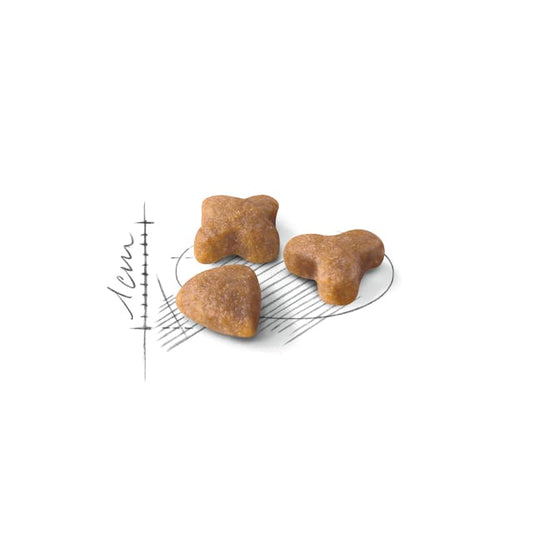 Royal Canin Sensible Cat Dry Food Bag