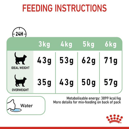 Royal Canin Digestive Care Dry Cat Food