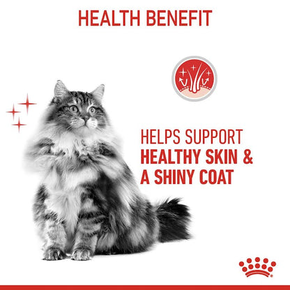 Royal Canin Hair & Skin Care Cat Dry Food Bag