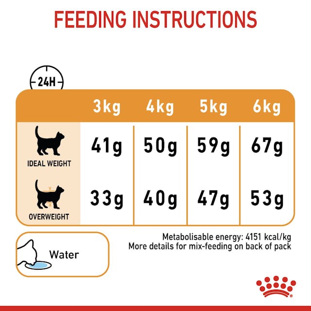 Royal Canin Hair & Skin Care Cat Dry Food Bag