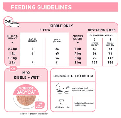 Royal Canin Mother & Baby Cat Dry Food Bag