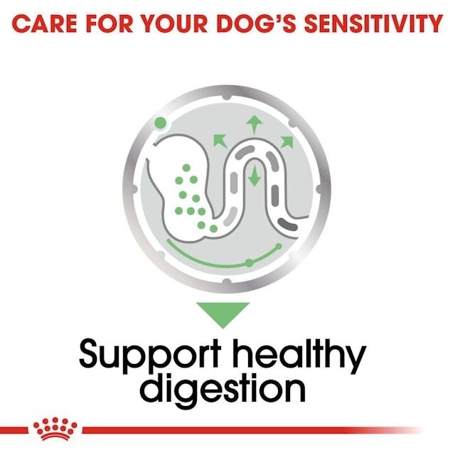 Royal Canin Digestive Care Dog Wet Food Pouches in Loaf