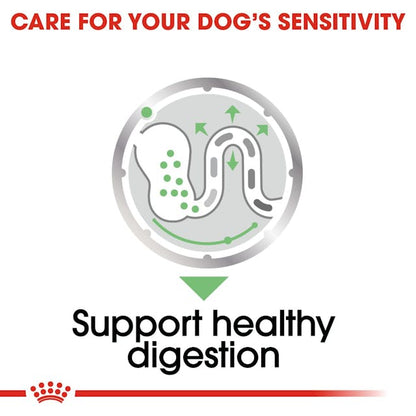 Royal Canin Digestive Care Dog Wet Food Pouches in Loaf