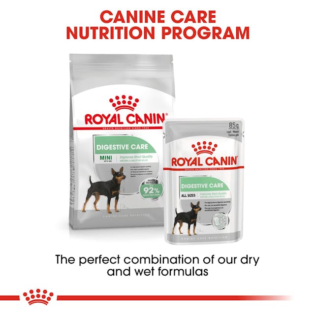 Royal Canin Digestive Care Dog Wet Food Pouches in Loaf