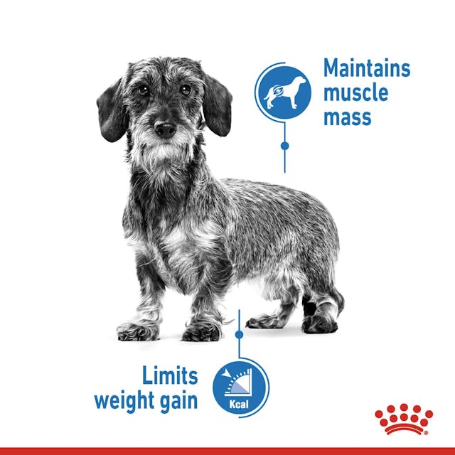 Royal Canin Light Weight Care Dog Wet Food Pouches in Loaf
