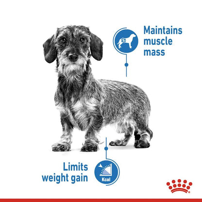 Royal Canin Light Weight Care Dog Wet Food Pouches in Loaf