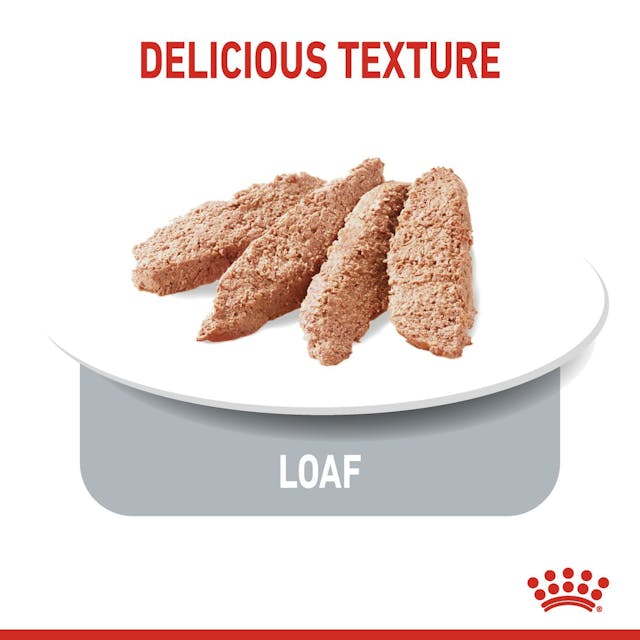 Royal Canin Light Weight Care Dog Wet Food Pouches in Loaf