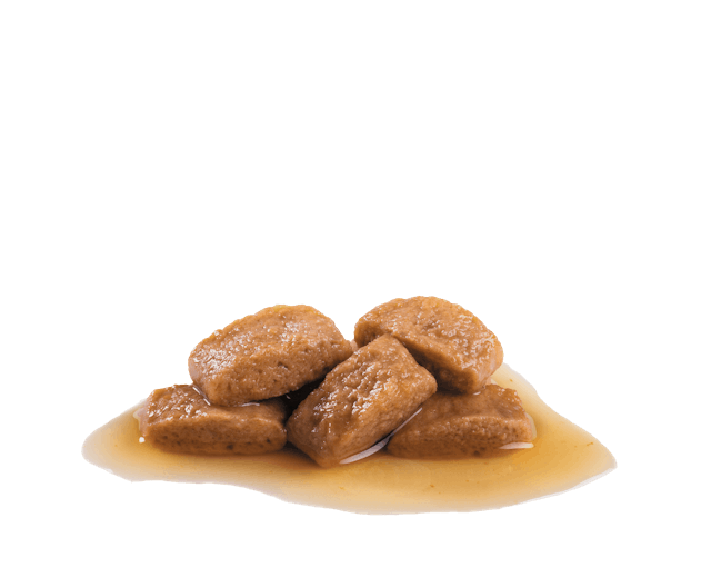 Royal Canin Maxi Dog Wet Food Pouches in Gravy