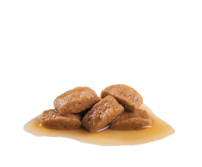 Royal Canin Maxi Dog Wet Food Pouches in Gravy