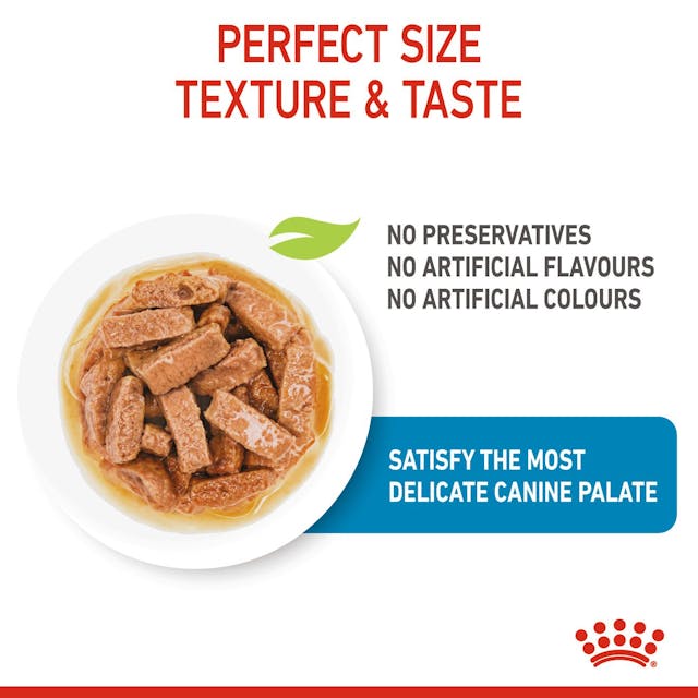 Royal Canin Maxi Puppy Wet Food Pouches Chunks in Gravy 140g x 10