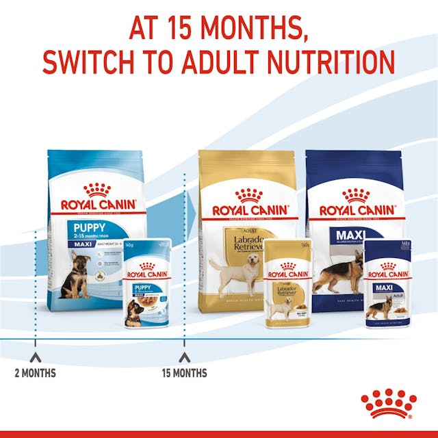 Royal Canin Maxi Puppy Wet Food Pouches Chunks in Gravy 140g x 10