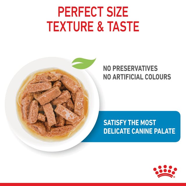 Royal Canin Maxi Puppy Wet Food Pouches Chunks in Gravy 140g x 10