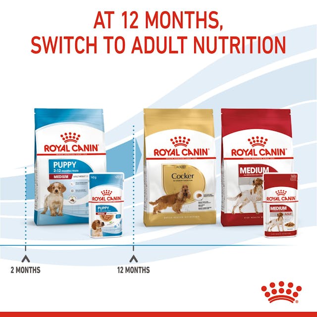Royal Canin Medium Puppy Wet Food Pouches Chunks in Gravy