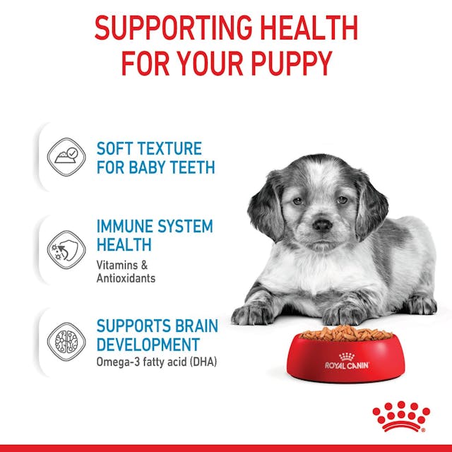 Royal Canin Medium Puppy Wet Food Pouches Chunks in Gravy