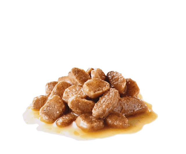 Royal Canin Mini Dog Wet Food Pouches in Gravy