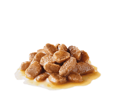 Royal Canin Mini Dog Wet Food Pouches in Gravy