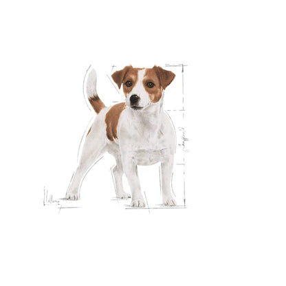 Royal Canin Mini Dog Wet Food Pouches in Gravy