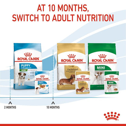 Royal Canin Mini Puppy Wet Food Pouches Chunks in Gravy