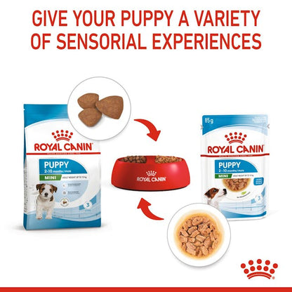 Royal Canin Mini Puppy Wet Food Pouches Chunks in Gravy