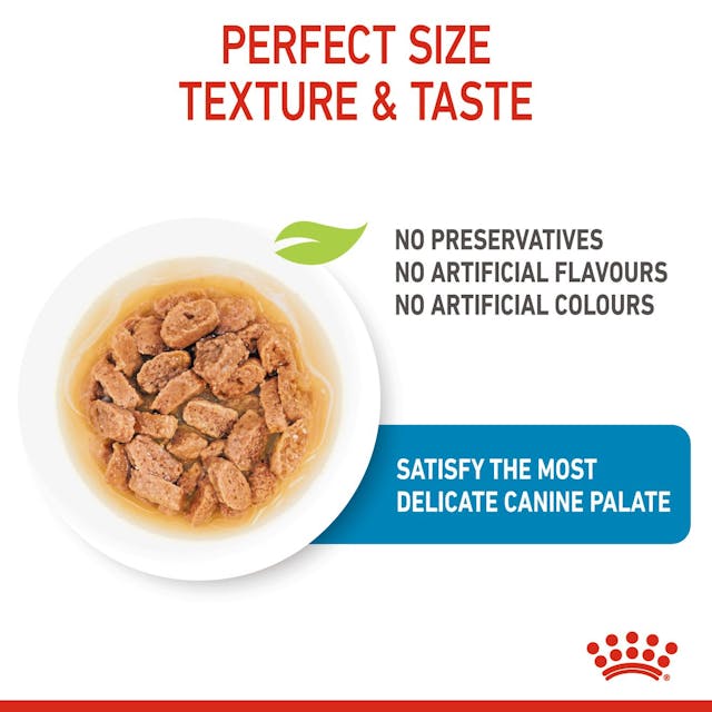 Royal Canin Mini Puppy Wet Food Pouches Chunks in Gravy
