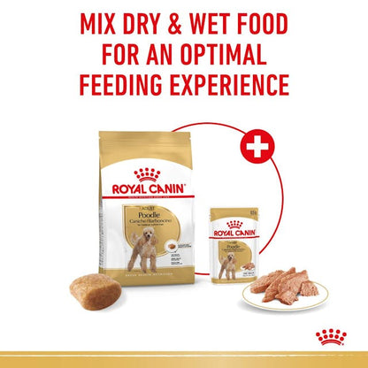 Royal Canin Poodle Dog Wet Food Pouches in Loaf